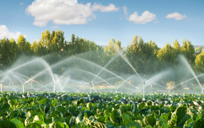 Water & Irrigation
